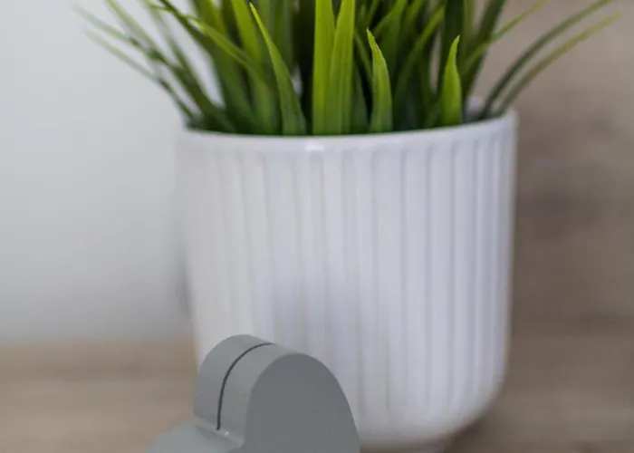 公寓 Domus Old Town With Garage 普罗夫迪夫